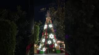 🇲🇽Lagos de moreno #メキシコ #lagosdemoreno #méxico #クリスマス #puebromagico