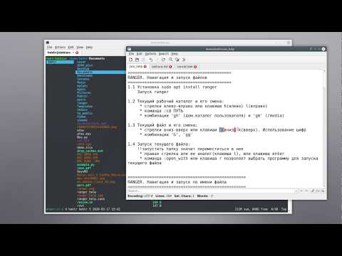 ranger. Навигация и запуск файлов