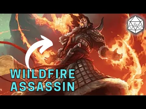 Drop 24d6 at the Start of Combat with This Multiclass Build | D&D 5e