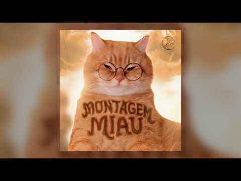 Montagem Miau