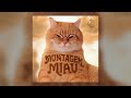 Montagem Miau