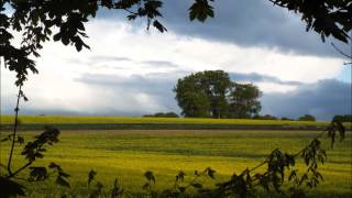 Nina Nastasia - &quot;All For You&quot;