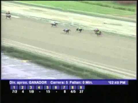 Resumen Sabado, 20 de Octubre de 2012 - La Rinconada