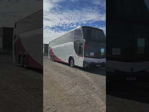 COMITIVA DOS AMARELINHOS EM PADRE MARCOS PIAUÍ