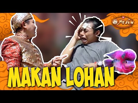 omj-makan-ikan-hias