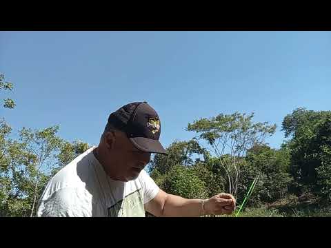 Vavô Wilson curtindo sua chácara município de Bela vista de Goiás 