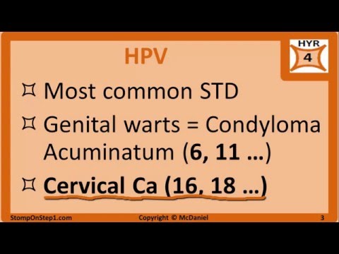 hpv rák usmle)