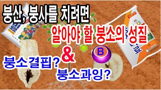 붕산비료, 붕사비료를 효과있게 치려면 알아야 할 붕소의 성질(붕소, 붕산, 붕사비료의 성질 바로 알기, 붕소…