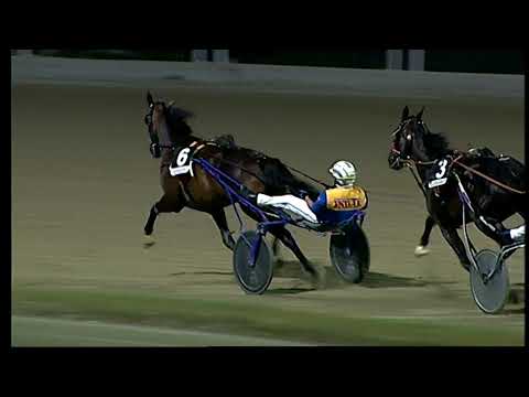 Napoli Trotto 17/06/2021 - 5ª corsa