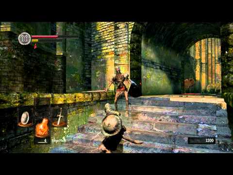 Dark Souls: Durante Edition