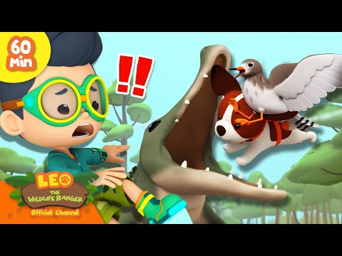 Witness21 Editor  2025 01 18