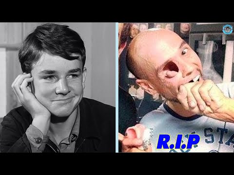 Die Brücke 1959: Wer lebt noch nach 65 Jahren? 😢