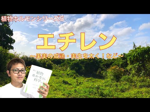 非常に引火しやすい