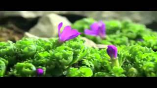 Maire Brennan - Our World