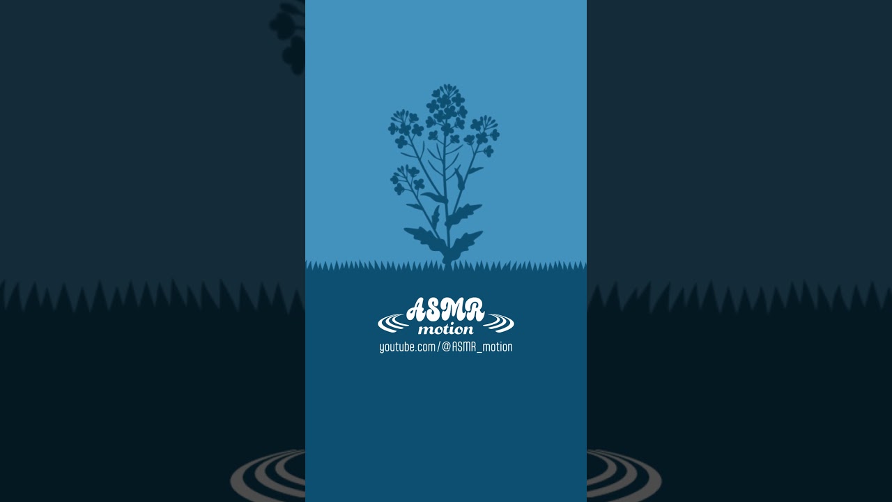 (ASMR) Bloom 04 #shorts