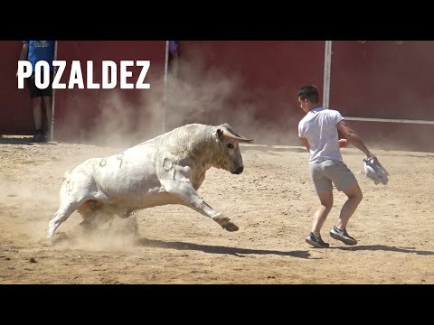 Toros Bravos Pozaldez 2022