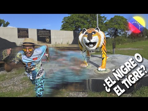 Explorando la Maravillosa Ciudad de EL TIGRE 🐅🐯