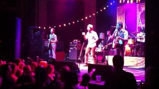 Red Wanting Blue - Venus 55