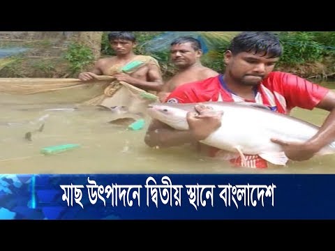 মাছ উৎপাদনে দ্বিতীয় স্থানে বাংলাদেশ