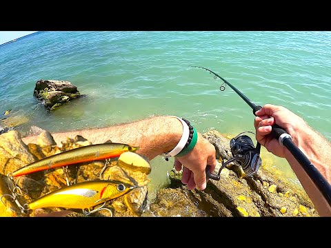 Pesca a Spinning in Mare d'Estate: Due Artificiali Sorprendenti e TANTE Catture!
