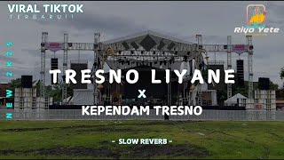 Download lagu DJ TRESNO LIYANE X KEPENDAM TRESNO - SLOW REVERB - VIRAL TIKTOK mp3