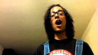 Face to the wall !!!(Faron Young cover) REBEL RYAN