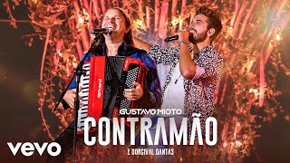Contramão Lyrics English Translation