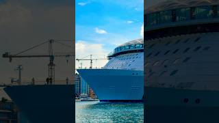 Wonder of the Seas Sets Sail from PortMiami 🛳️ #dream #cruise #travel #vacation