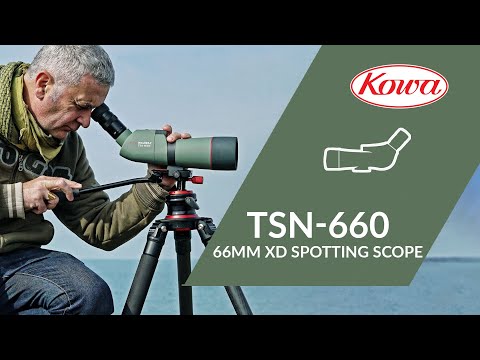 TSN-664M 直視型 KOWA｜興和 通販 | ビックカメラ.com