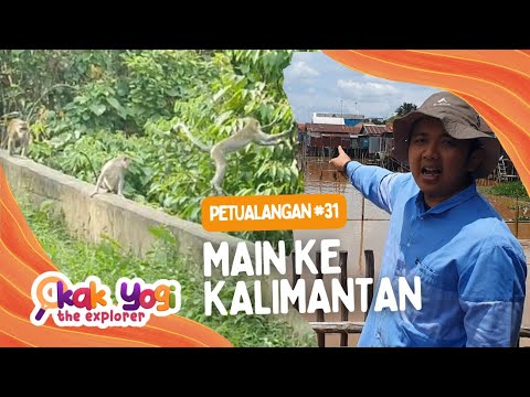 Kak Yogi The Explorer #31: Main ke Kalimantan