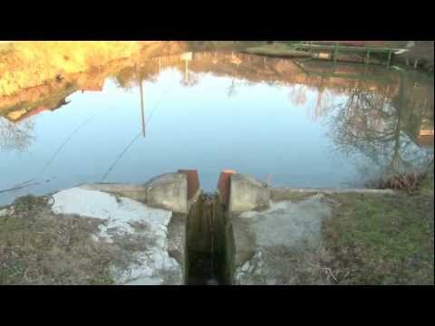 Braća Pintarić - Birtašice poredaj stolice