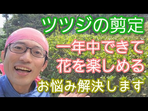 ツツジの正しい剪定方法 トピックス