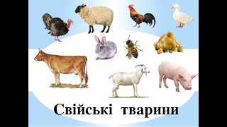 Навчаємося дистанційно