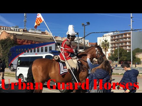 Horses of the Urban Guard Mounted Unit of Barcelona | Sant Medir La Bordeta 2020