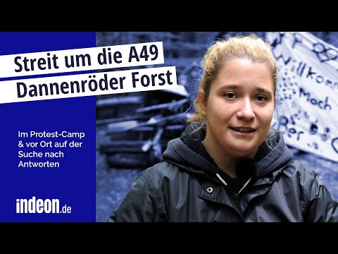Streit um die A49 im Dannenröder Forst