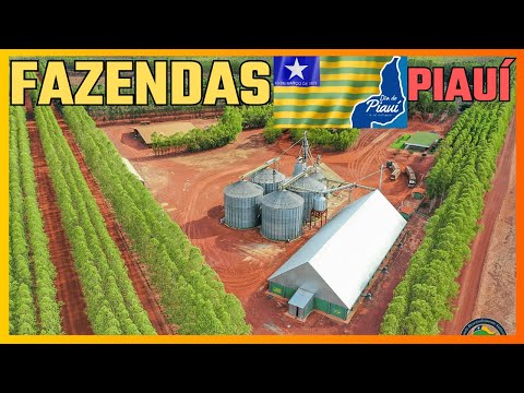 As GRANDES Fazendas São PROBLEMA ou SOLUÇÃO para o PIAUÍ?