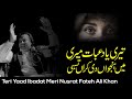 Teri Yaad Ibadat Meri By Nusrat Fateh Ali Khan Full Qawwali Nfak Qawali Remix