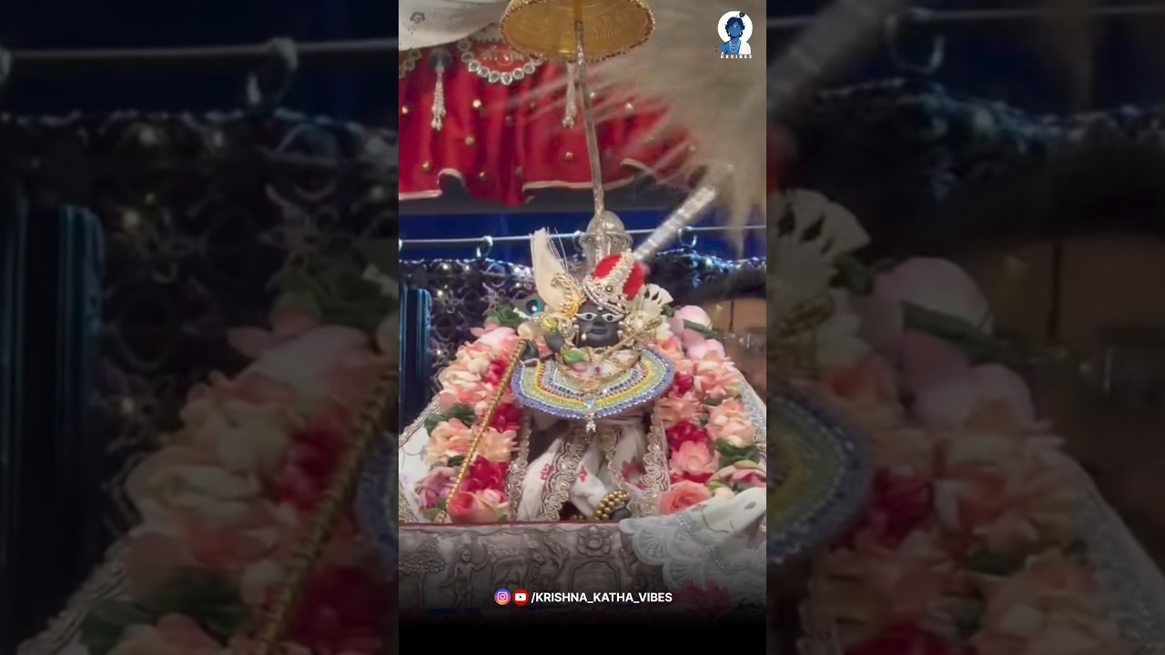 कृष्ण जन्मष्टमी की हार्दिक शुभकामनाएं 🥹🙏🏻 #shorts #viral #janmashtami #indreshji #radharaman