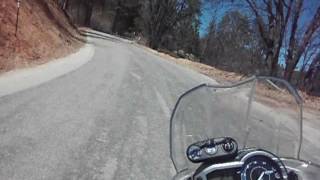 Sequoia Twisties on a Tiger