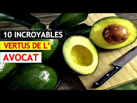 AVOCAT: 10 principaux bienfaits pour ta santé