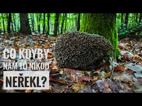 Smysl života: náš, nebo převzatý?
