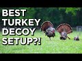 The BEST Decoy Setup For Turkeys Spring Turkey Hunting Tips