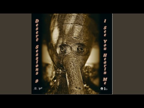 Holey Dime - Desert Sessions
