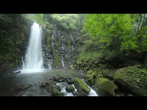 新阿蘇紀行（57.白糸の滝）