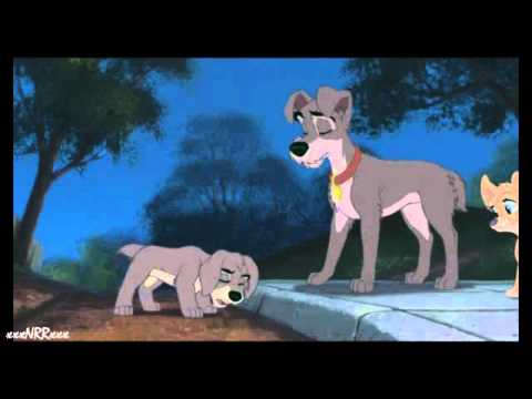 Your Heart Will Lead You Home [MMDS]