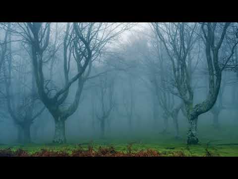 Chris Bowden feat 4 Hero - Lullaby