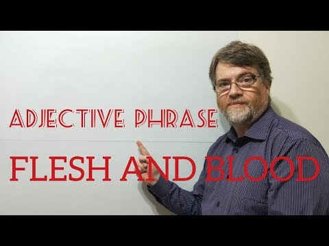 English Tutor Nick P Adjective Phrase (42) Flesh and Blood - Origin