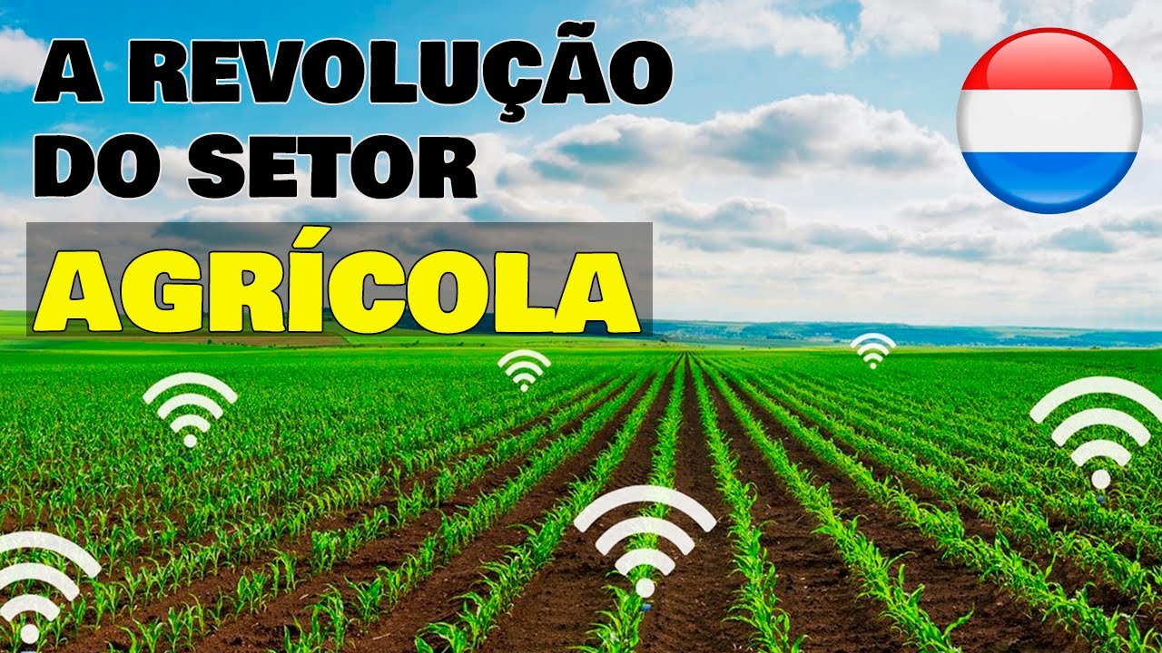Por que a HOLANDA é o país LÍDER MUNDIAL em agricultura?