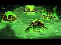 Teenage Mutant Ninja Turtles NEW Origin Story Teenage Mutant Ninja Turtles Mutant Mayhem CLIP