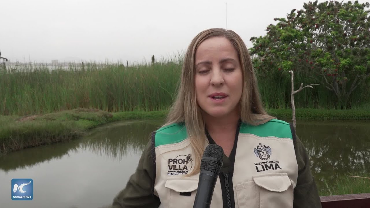 Perú promueve conocimiento sobre aves durante Global Big Day para su preservación